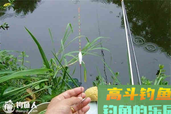 高手分析野外钓鱼的调漂技巧