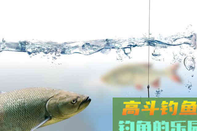 从调四钓二分析，钓过灵和过钝对鱼情的影响