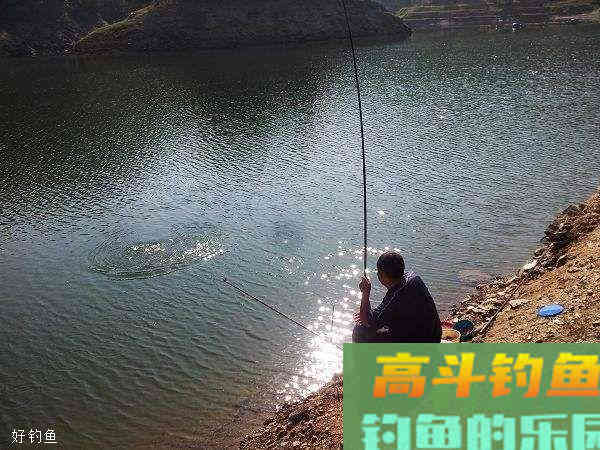小崔解读：调四钓二与调钓灵敏度