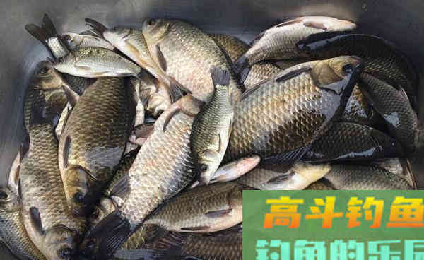 使用拉饵钓鱼，常用的几种好用调漂方法