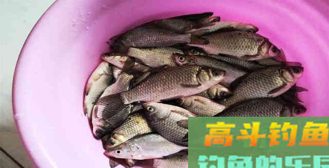 钓鱼时漂相凌乱不堪，试试这些方法，即可“药到病除”