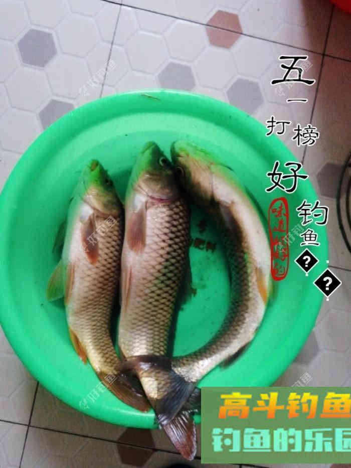 什么情况要调平水钓一两目，话空钩半水调漂