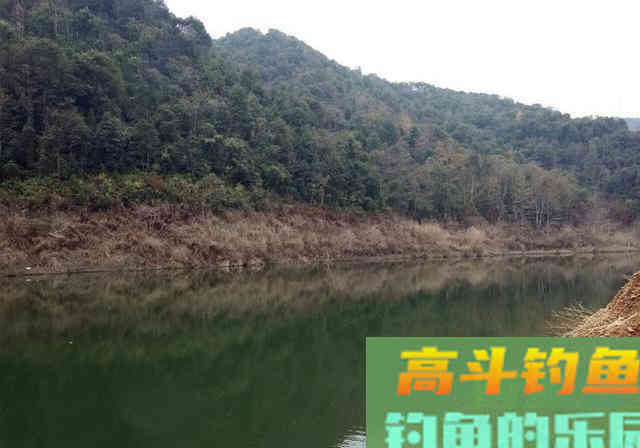 冬季钓小鱼，细钩细线细漂浮底钓法