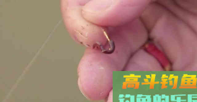 用蚯蚓等轻质饵料，调漂准确找到底的2个方法