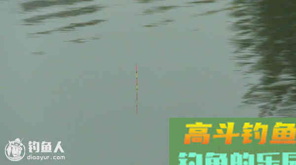 高手浅析台钓浮漂的灵钝层面定义