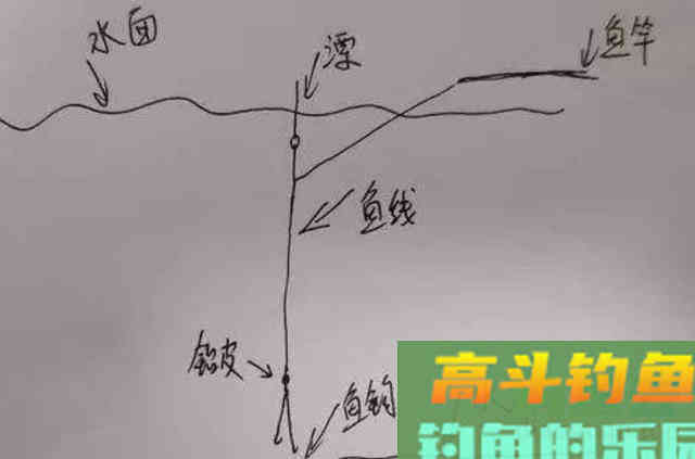 调漂的关键是根据鱼情和水情进行转换的