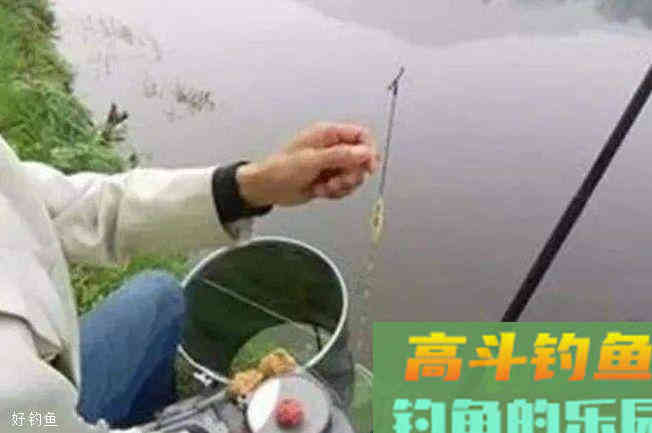 钓鱼怎么调漂？怎么使用轻饵怎么使用重饵？