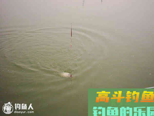 鱼口吃相与调漂的关系介绍