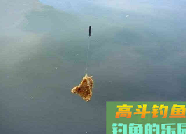 钓目必须露出水面？不，负目钓浮还真不需要钓目露出水面