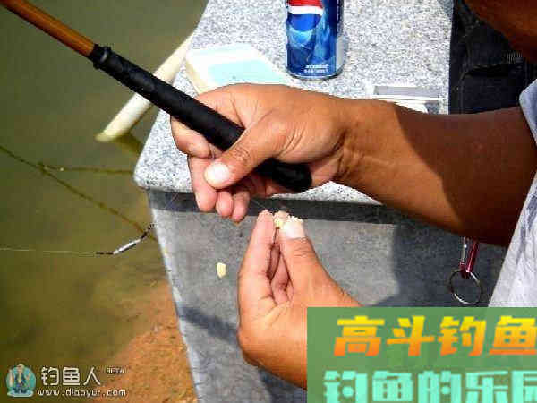 浅谈饵料与浮漂的二者联系