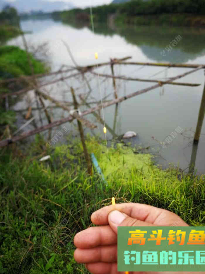 谈一谈七星漂的使用间距问题