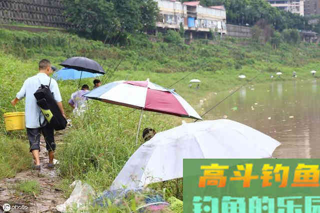 秋天钓鲤鱼，老钓手这么“调钓”，上鱼率高的不像话