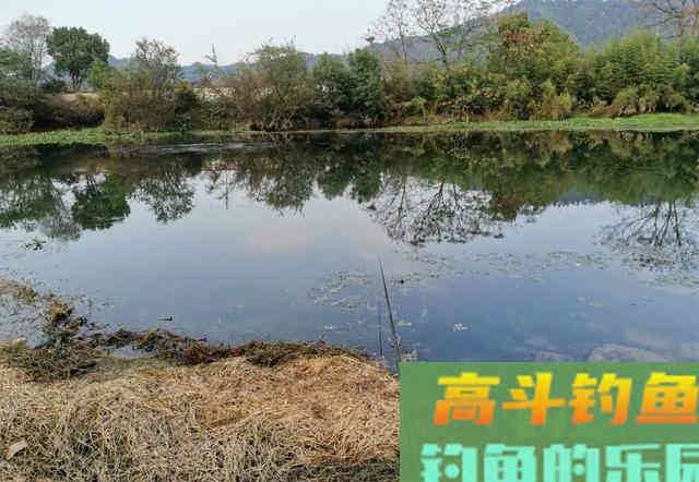 鱼口小信号弱怎么办？换小漂不是最佳办法，记住这3点