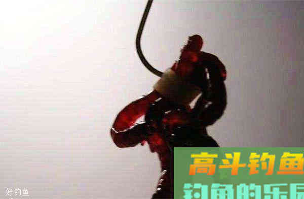 用红虫饵钓鱼的调漂方法有哪些