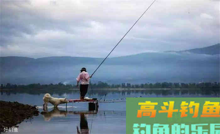 观漂相识鱼，十种常见漂相详解