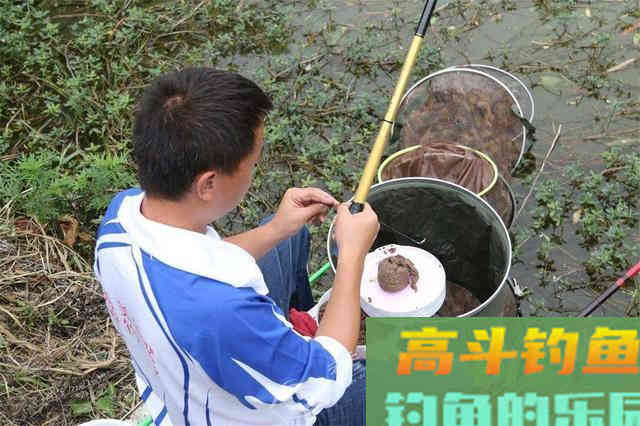 为什么越会调漂鱼获越少个头越小？需要转变思维