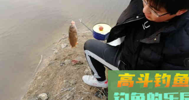 浮漂的调钓，到底何为灵？何为钝？