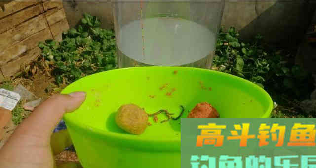 浮漂的调钓，到底何为灵？何为钝？