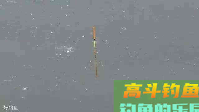 野钓半水调漂如何能更精准