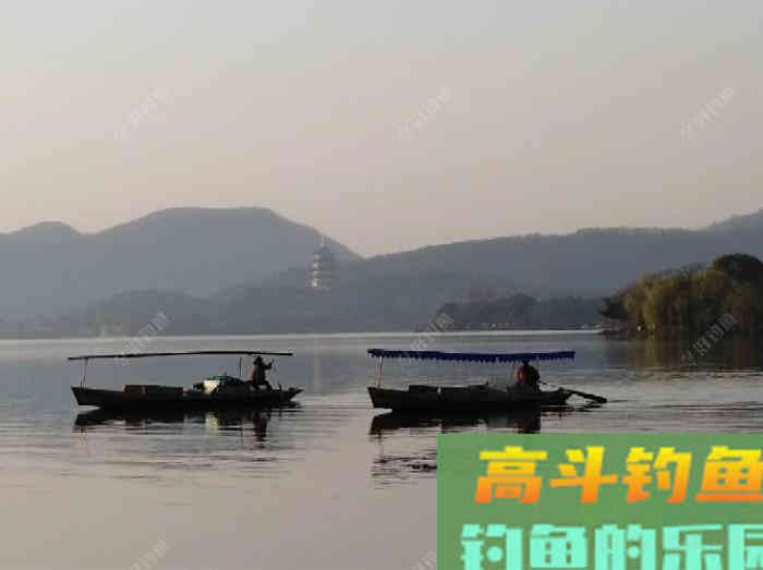 钓鲫鱼的漂相解析