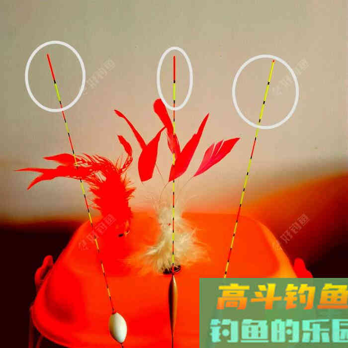 老钓鱼人对加粗目标的测试分析，全程干货