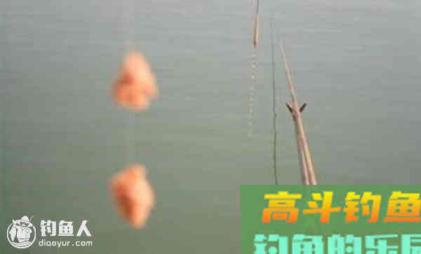 钓组灵敏度与漂相、饵态的关系
