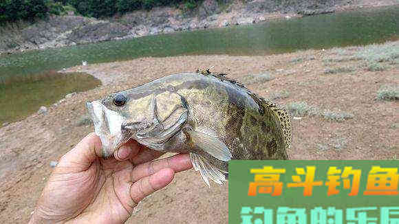 细节决定渔获：很少有人真正弄明白调平水钓跑铅