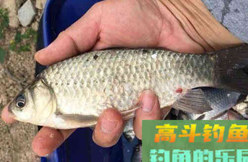 钓鱼找底并没有这么难，快看看这些方法