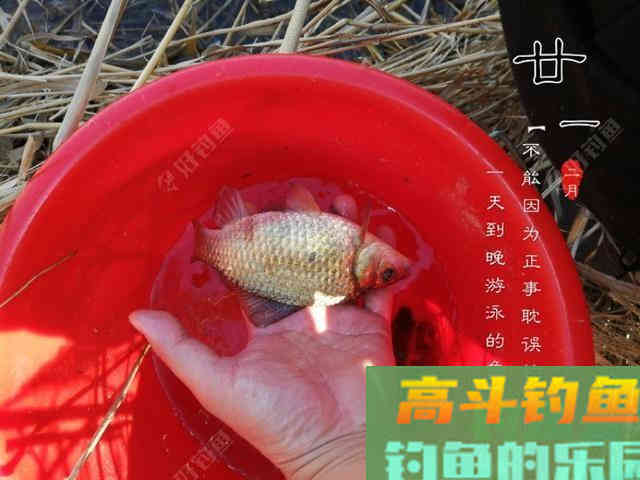 什么情况要调平水钓一两目，话空钩半水调漂