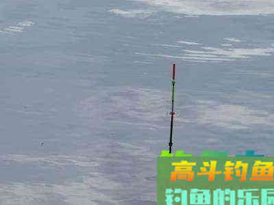 野钓中，精准调漂是很有必要的