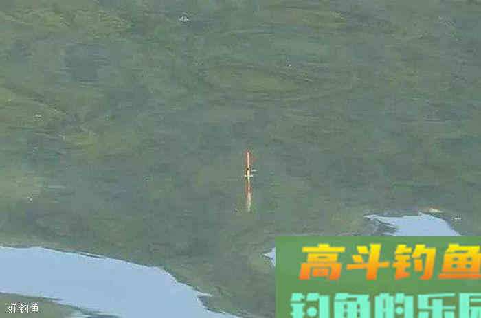 冬季钓鲫鱼，钓灵还是钓钝？
