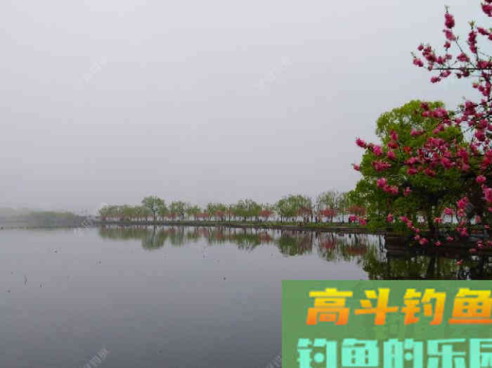 有效钓鲫鱼的3个办法，做窝补窝和调钓，和应对技巧