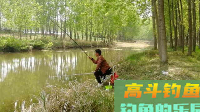 长竿配大漂钓鲫鱼，教你一招以钝钓钝
