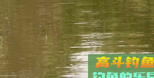 手竿钓鲢鳙:细分4个原因,避免有口不中鱼的提空竿 手竿钓鲢鳙:细分4个原因,避免有口不中鱼的提空竿