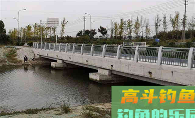 农村野河是主战场，在这4种位置下竿，钓大板鲫更容易