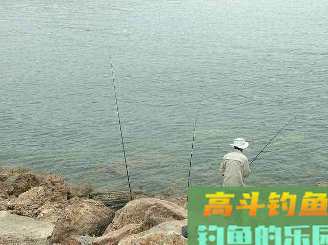 什么是黄鱼？如何垂钓黄鱼的一些技巧