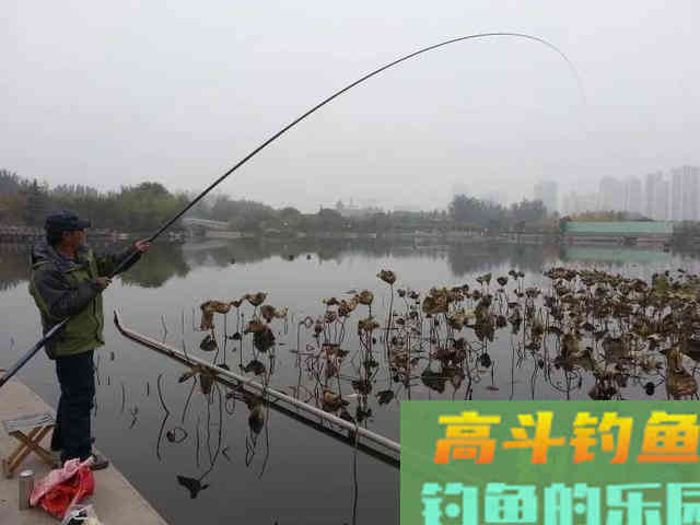 天气越冷钓鱼越要找这种地方，鲫鱼最喜欢躲在其中