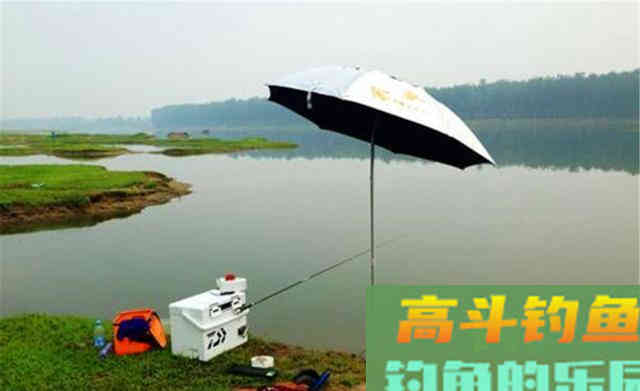 秋天钓鲤鱼比夏天要容易，选准钓位用对饵