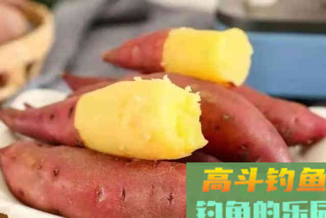 怪不得老钓手连用了30年，原来它才是鲫鲤鱼的最爱