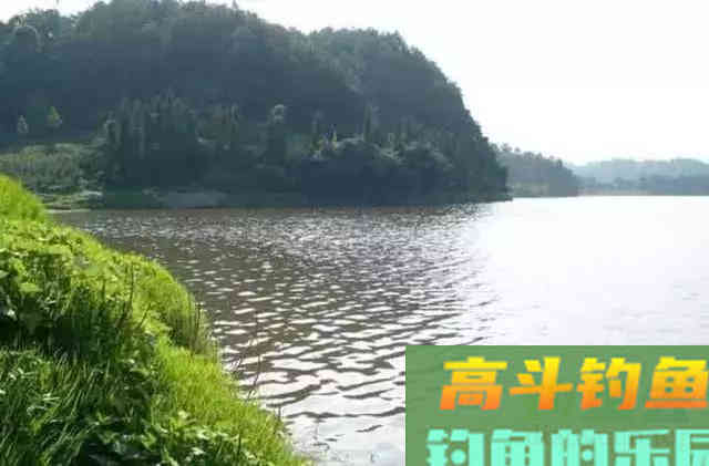 如何垂钓黄尾鱼，老手最有效果的4个办法