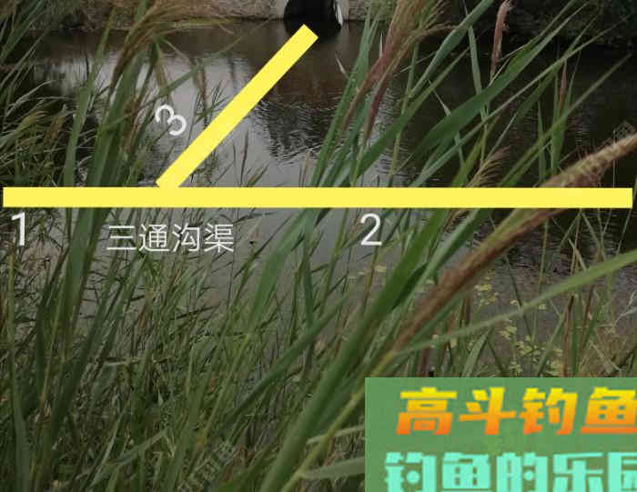 野钓策(20)小微水体野钓鲫鱼选位比对 野钓策(20)小微水体野钓鲫鱼选位比对