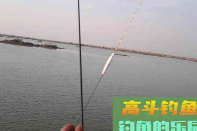 9月秋季鳊鱼不开口原因,和应对方法 9月秋季鳊鱼不开口原因,和应对方法
