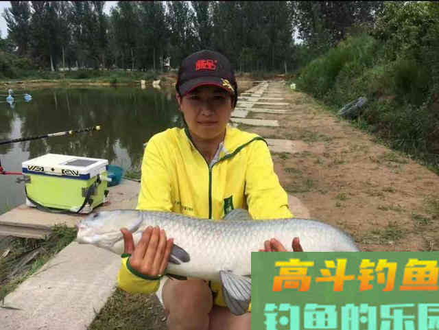 黑坑钓青鱼获得好收获，装备很重要有四点值得注意