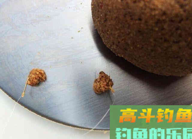 秋末冬初钓鲫鱼，为什么别人钓的多，自己钓少
