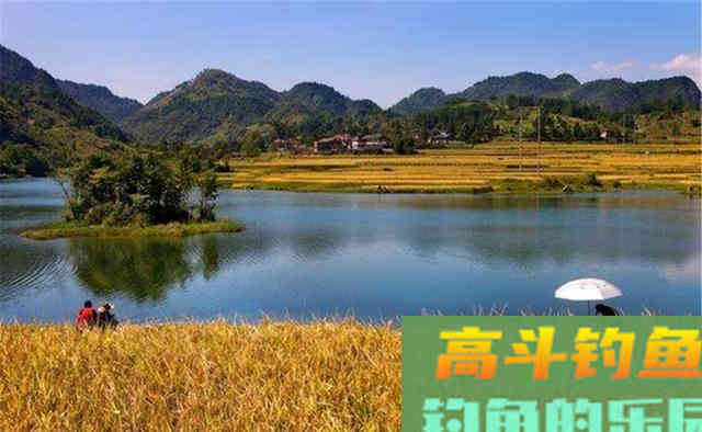 晚秋不能钓草鱼?给你几个建议 晚秋不能钓草鱼?给你几个建议