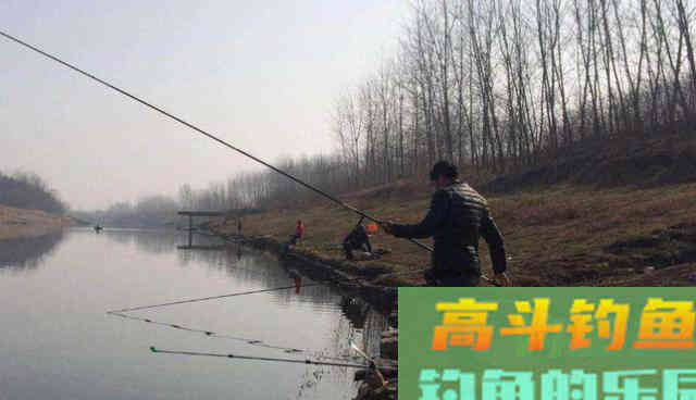 冬末春初好钓鲫鱼，来看看钓鱼技巧