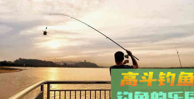 大鲫鱼的上钩,往往是正确的运用了这种竿的爆发力 大鲫鱼的上钩,往往是正确的运用了这种竿的爆发力