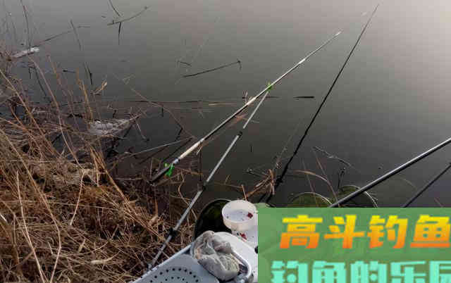 出钓前抓住这一点，搞定春季鲫鱼