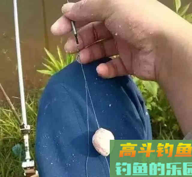 鲢鳙好不好钓？答案：好钓