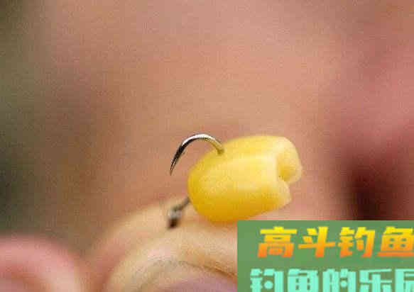 野外钓鲫鱼,怎么选鱼钩 野外钓鲫鱼,怎么选鱼钩